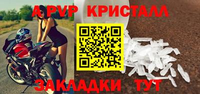 стаф Гудермес