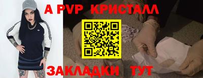 стаф Гудермес