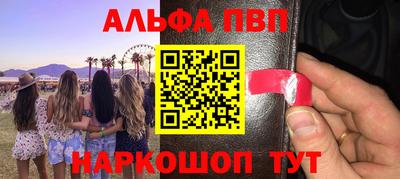 стаф Гудермес