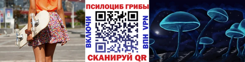 Псилоцибиновые грибы Psilocybine cubensis  закладка  Северодвинск 